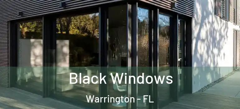 Black Windows Warrington - FL