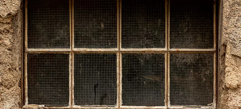 Traditional Double Front Doors in Warrington, FL