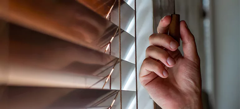 Double Roller Blinds in Warrington, FL