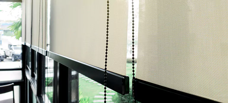 Blackout Window Shades in Warrington, FL