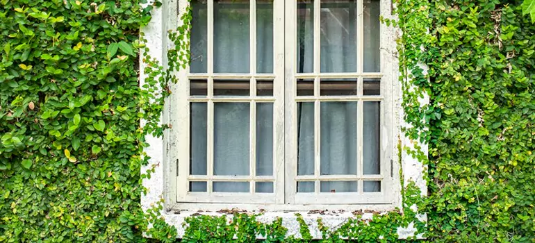 Garden Window Repair Near Me in Warrington, FL
