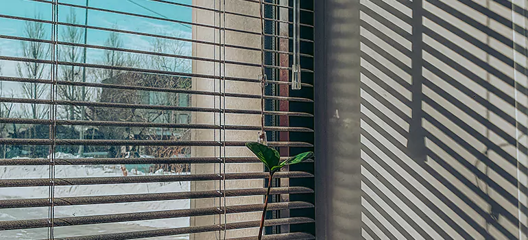 Commercial Window Blinds in Warrington, FL