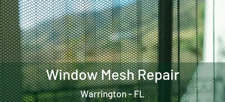 Window Mesh Repair Warrington - FL
