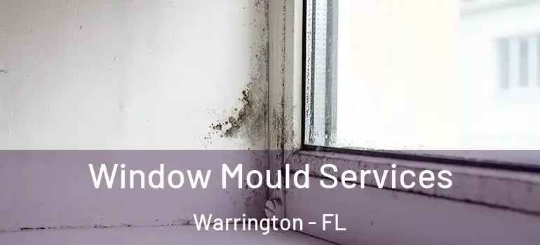 Window Mould Services Warrington - FL